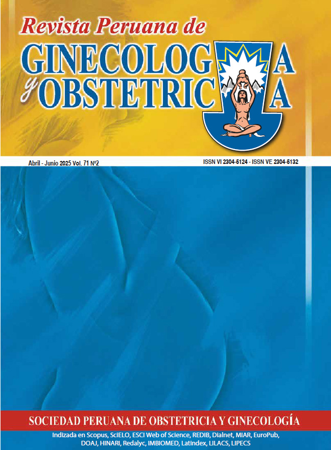 					Ver Vol. 71 Núm. 2 (2025)
				